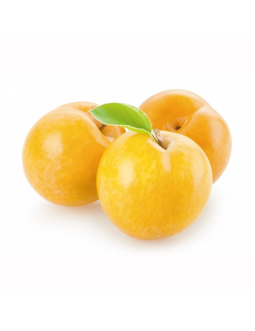Sungold