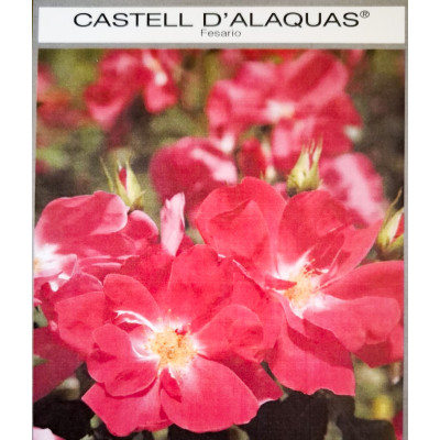 Rosal Castell d'Alaquas...