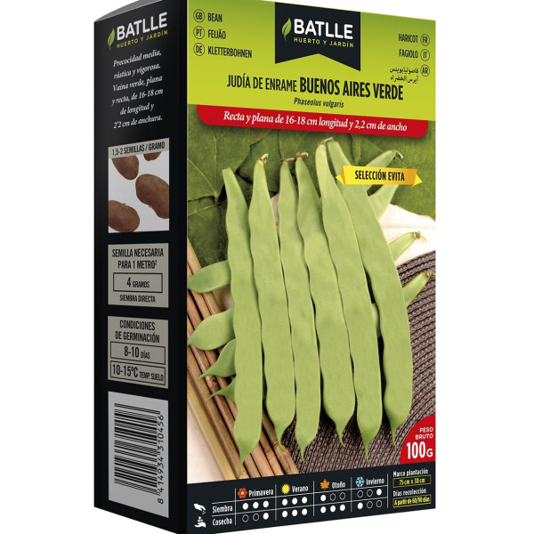 Semillas de Judía Verde Buenos Aires