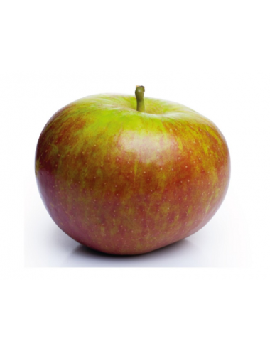 Tabardilla Real C-30