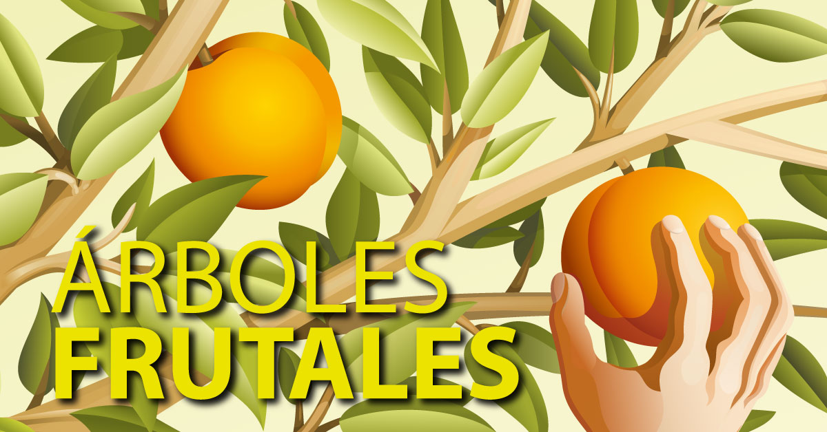 Viveros Barra - Tienda online de árboles y frutales